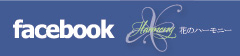 facebook Ԃ̃n[j[