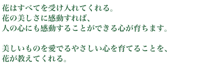 華の作家
水谷鏡子からのメッセージ花に興味をもたれるあなたに2